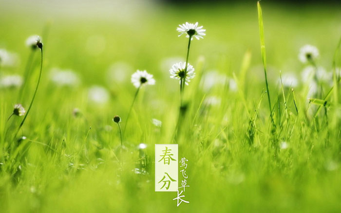 即就是东风十里，依然不如你